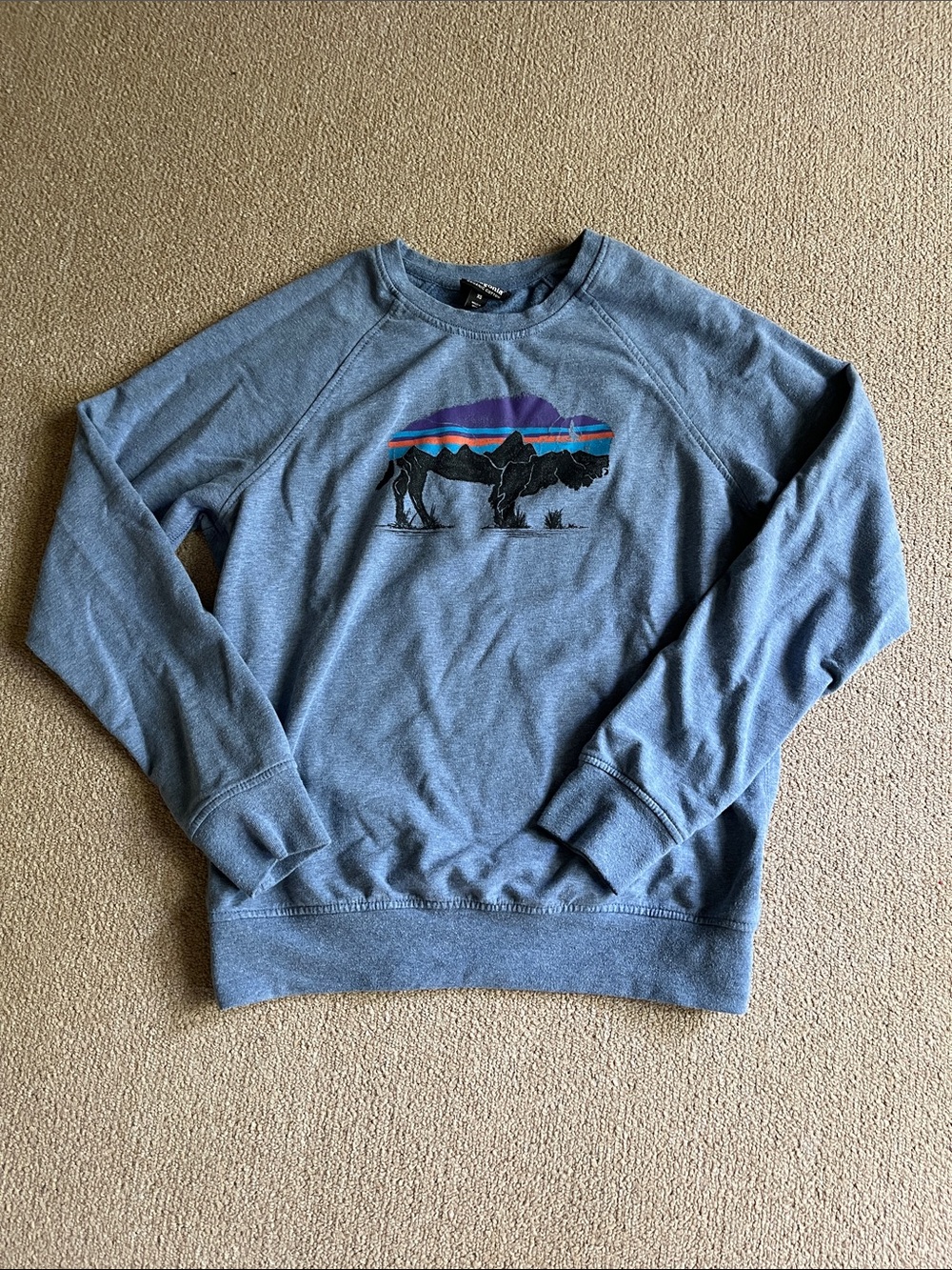 Women’s Patagonia Blue Graphic Crewneck Sweatshirt/Long T